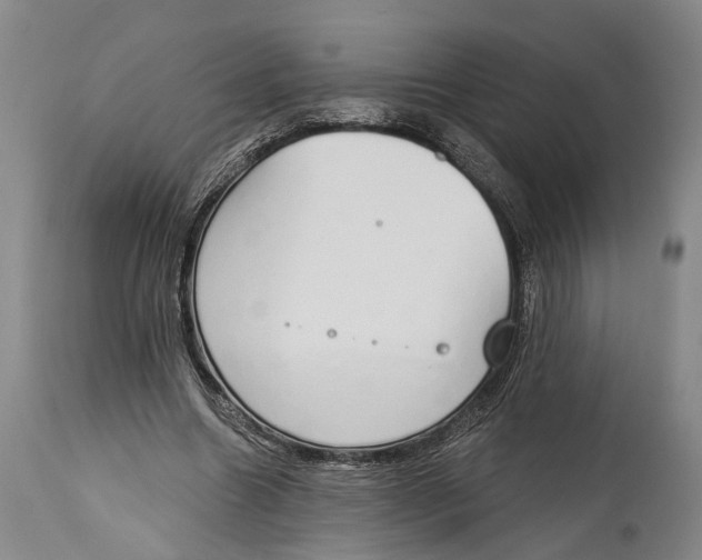 X0000115110538200911171307