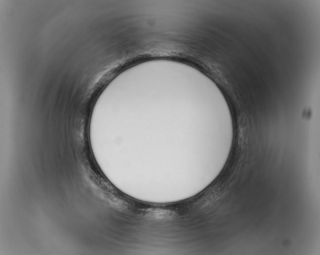 X0000115110539200911171307