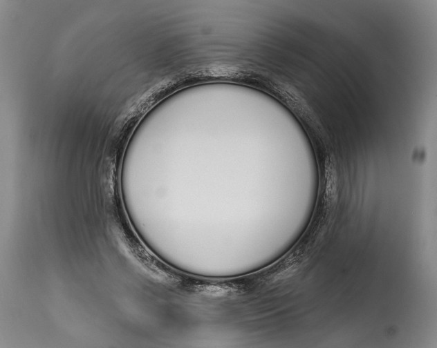 X0000115110542200911171308