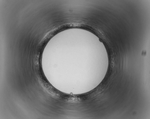X0000115110543200911171308
