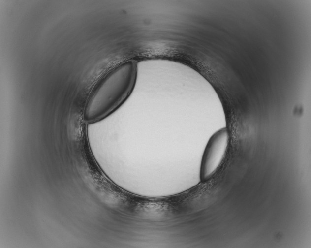 X0000115110546200911171308