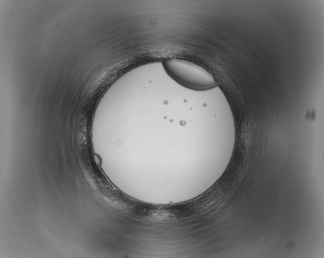 X0000115110547200911171308