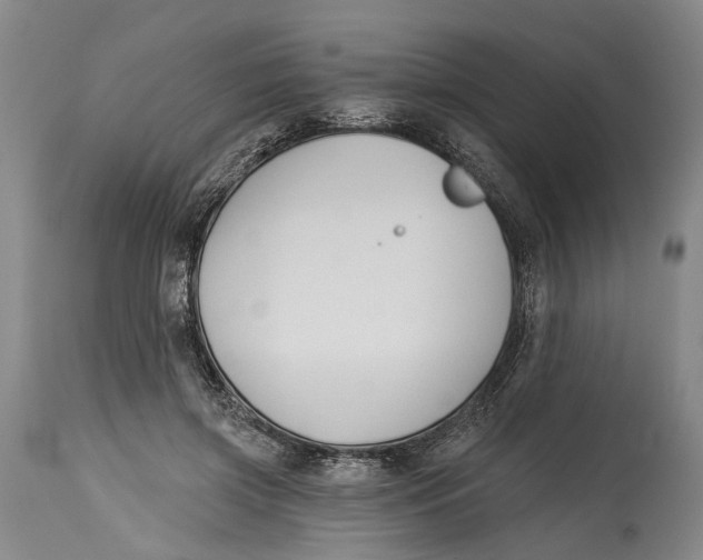 X0000115110549200911171308