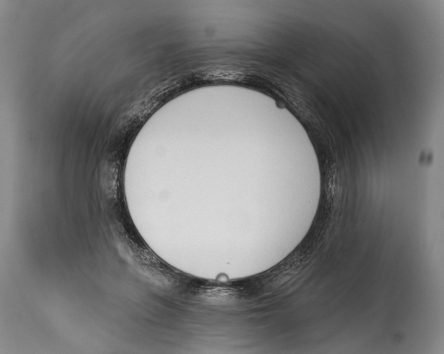 X0000115110551200911171308