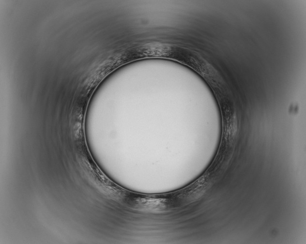 X0000115110553200911171308