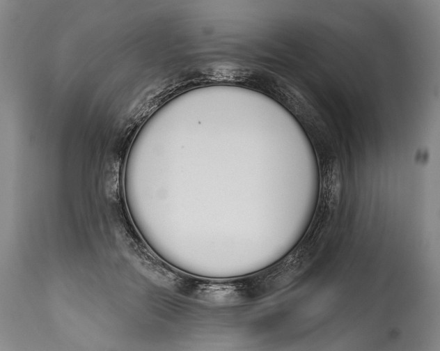X0000115110554200911171308