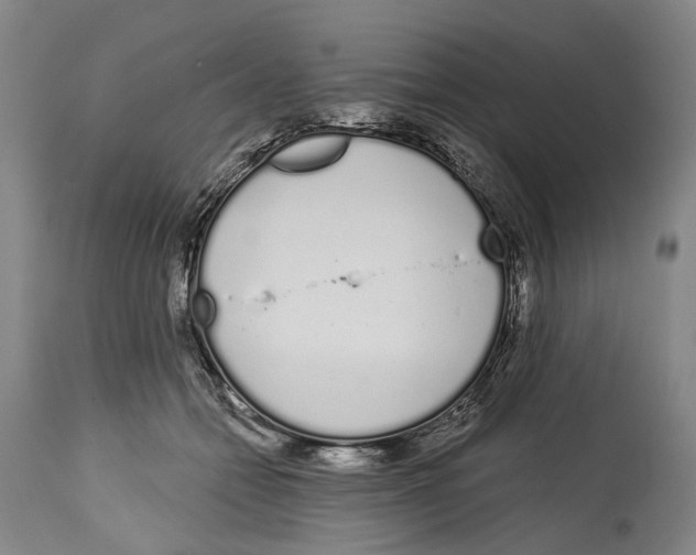 X0000115110558200911171308