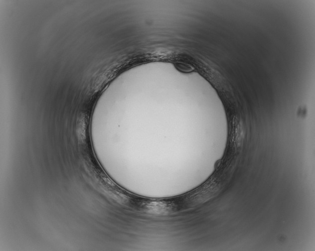 X0000115110562200911171308