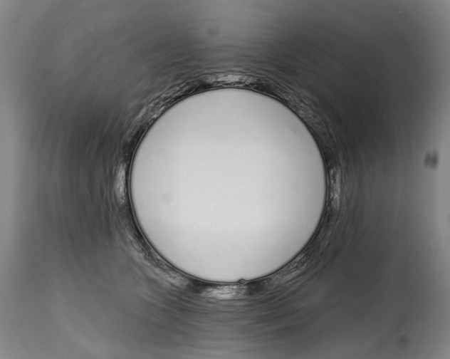 X0000115110563200911171308