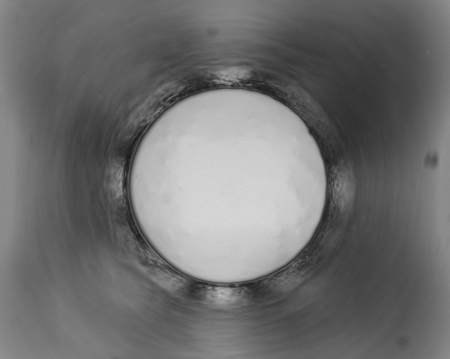 X0000115110565200911171308