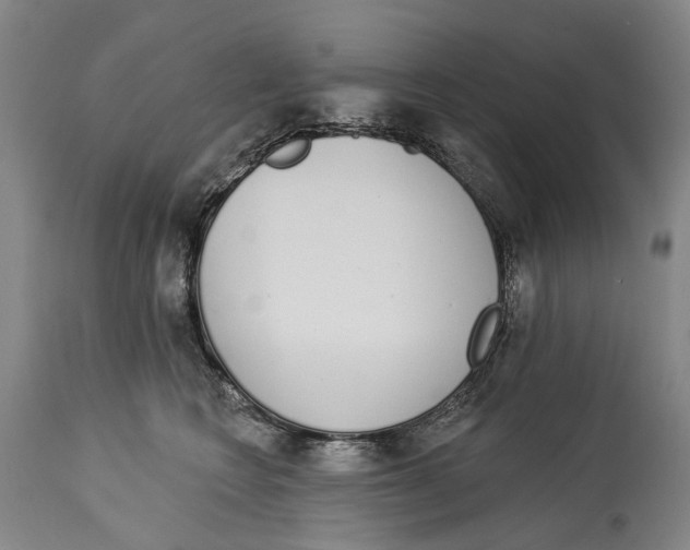 X0000115110566200911171308
