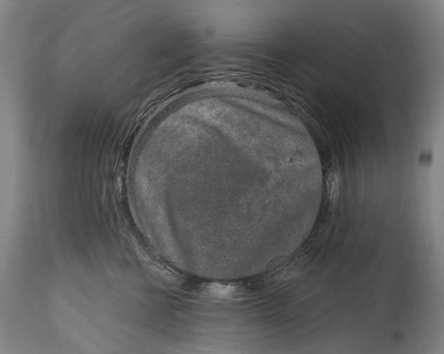 X0000115110570200911171308