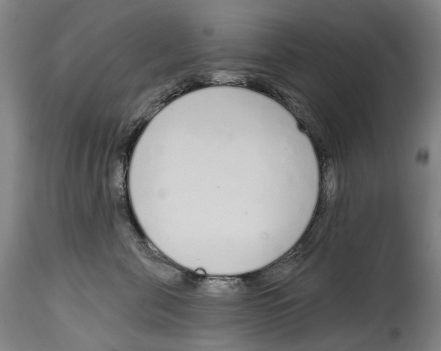 X0000115110571200911171308