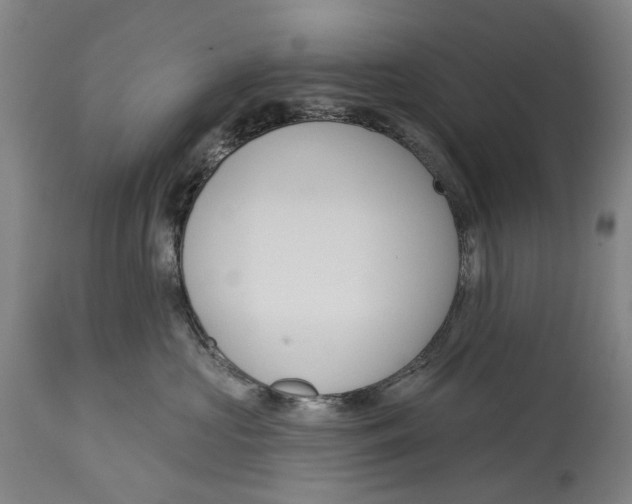 X0000115110573200911171308