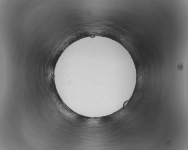 X0000115110574200911171308