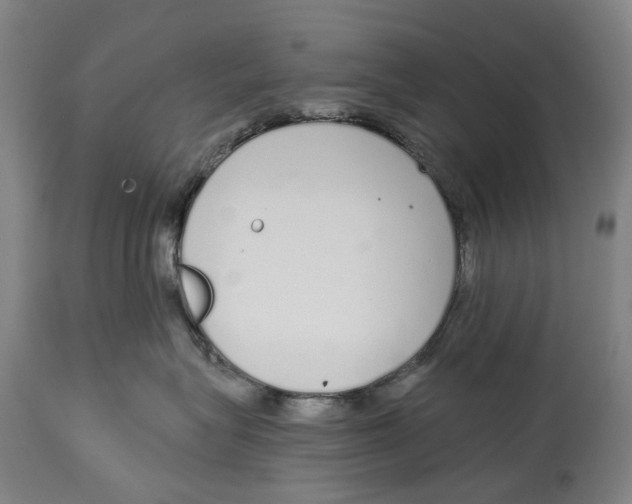 X0000115110575200911171308