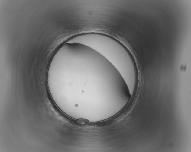 X0000115110577200911171307