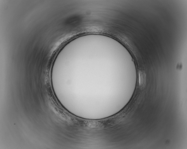 X0000115110579200911171307
