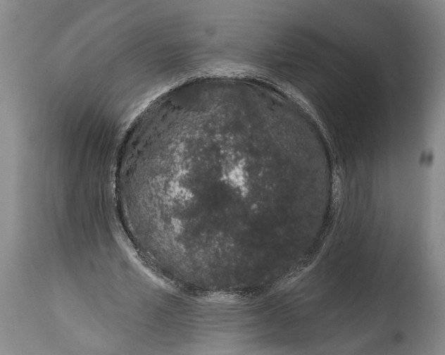 X0000115110581200911171307