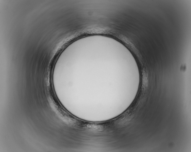 X0000115110582200911171307