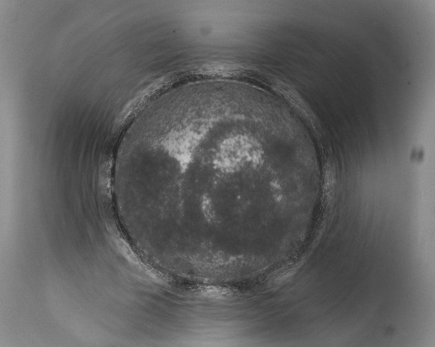X0000115110585200911171307