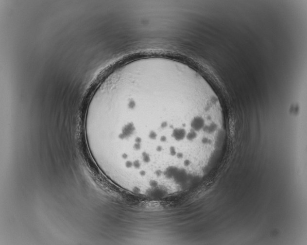 X0000115110588200911171307