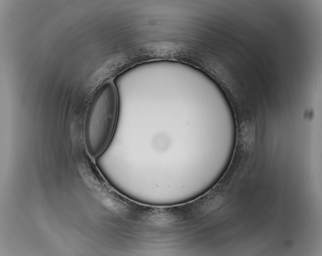 X0000115110589200911171307