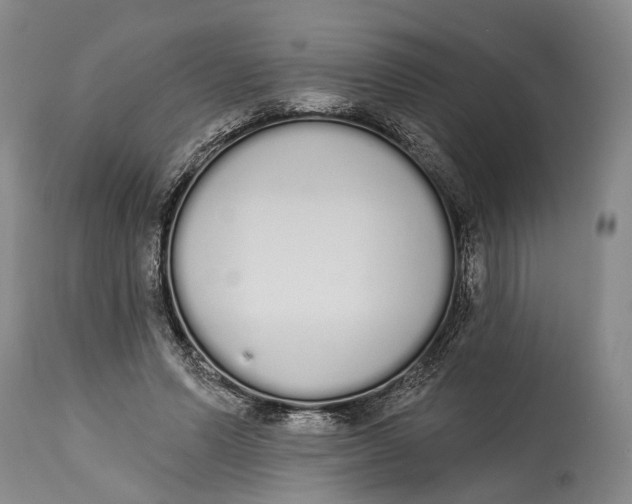 X0000115110591200911171307