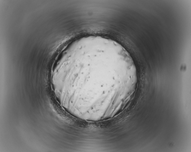 X0000115110592200911171307