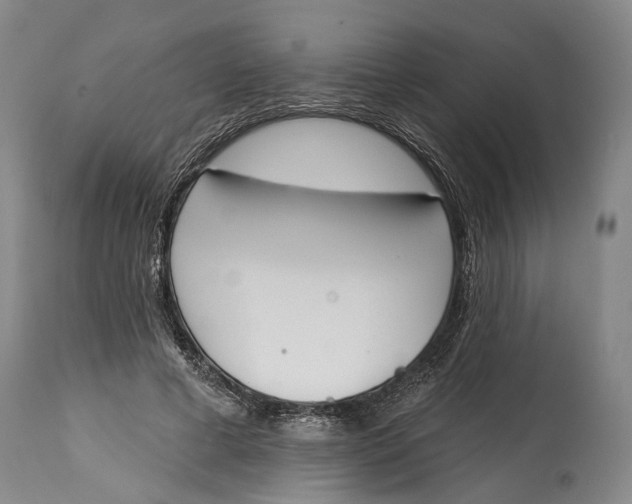 X0000115110593200911171307
