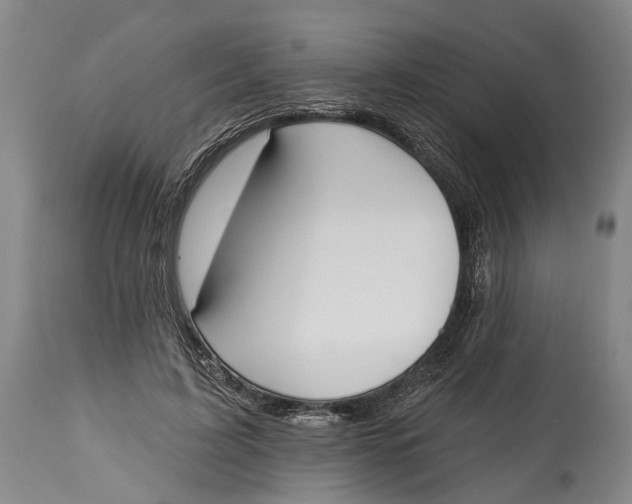 X0000115110595200911171307