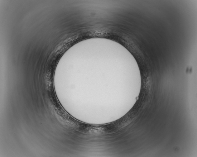 X0000115110599200911171307