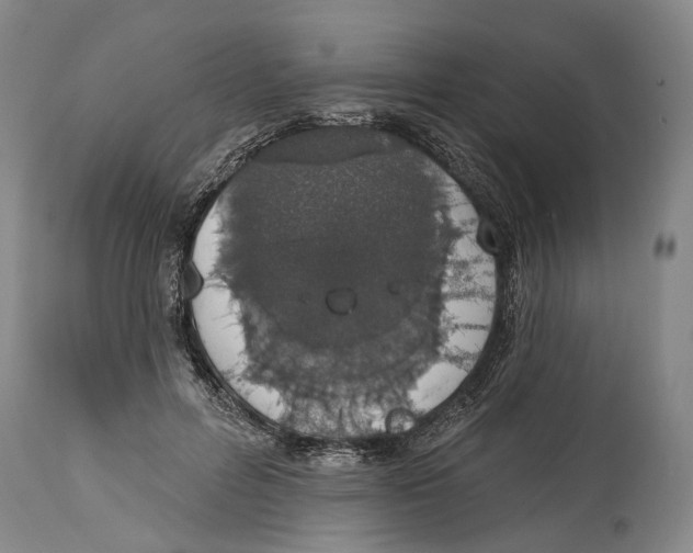 X0000115110600200911171307