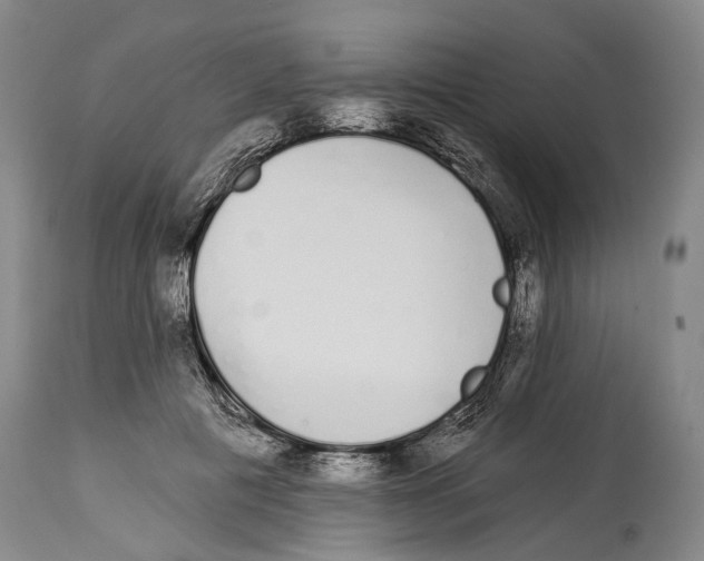 X0000115110601200911171307