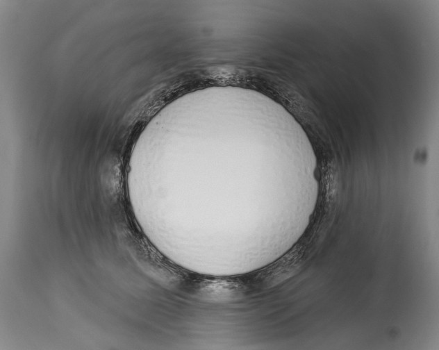 X0000115110611200911171307