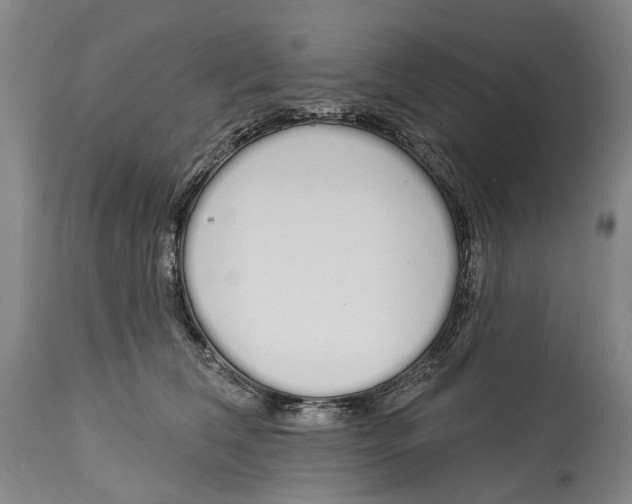X0000115110612200911171307