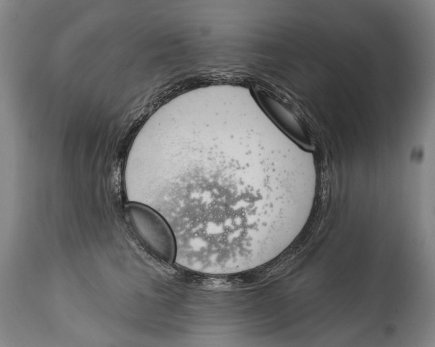 X0000115110613200911171307