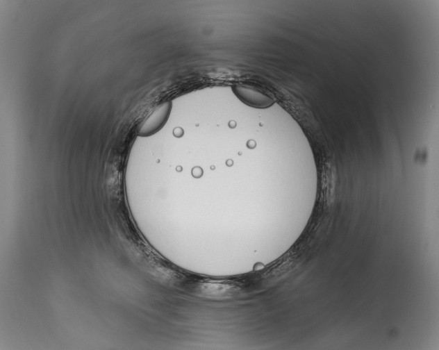X0000115110614200911171307