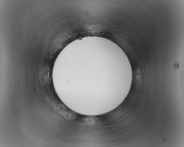 X0000115110615200911171307