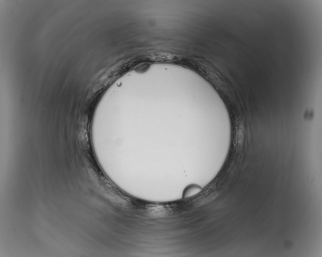 X0000115110616200911171307