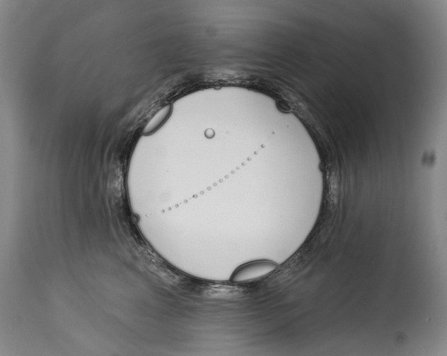 X0000115110617200911171307