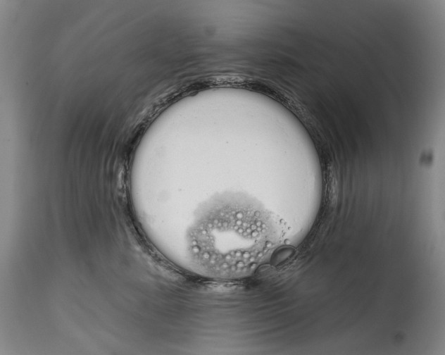 X0000115110619200911171307