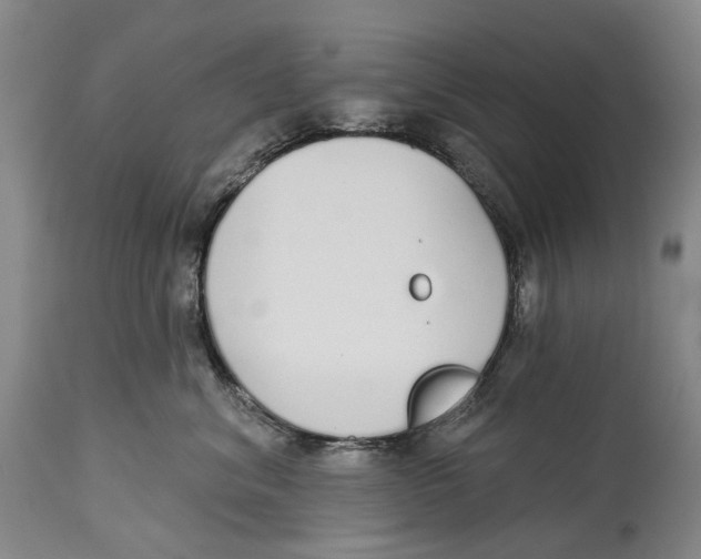 X0000115110620200911171307
