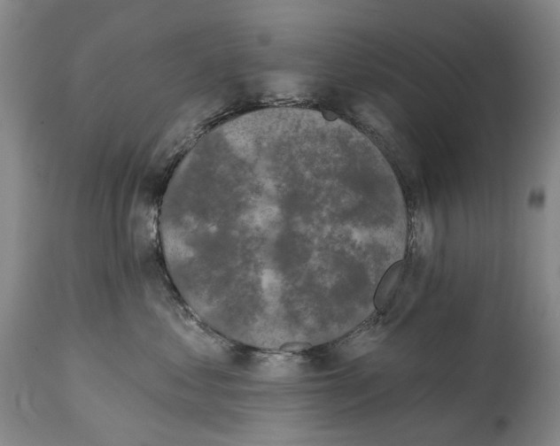 X0000115110621200911171307