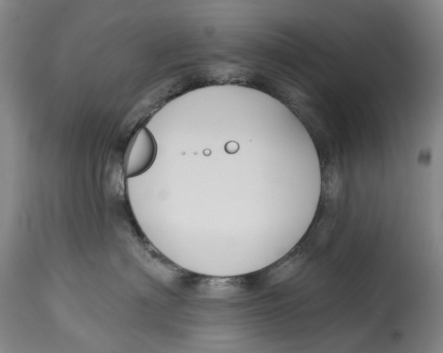 X0000115110622200911171307
