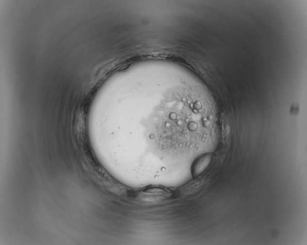 X0000115110623200911171307