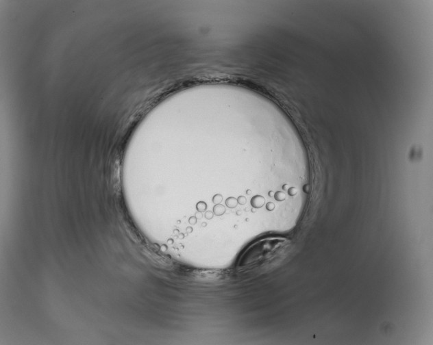 X0000115110624200911171307