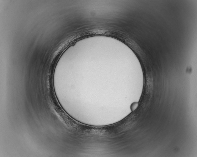 X0000115110626200911171306