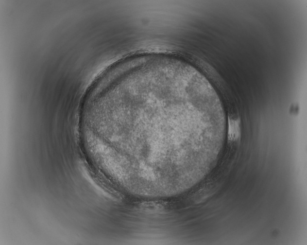 X0000115110627200911171306