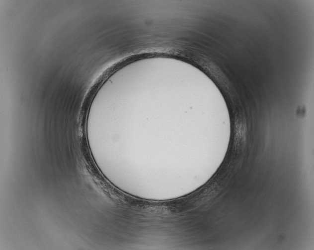 X0000115110628200911171306